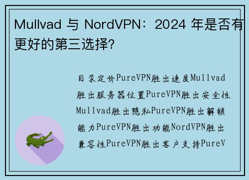 Mullvad 与 NordVPN：2024 年是否有更好的第三选择？